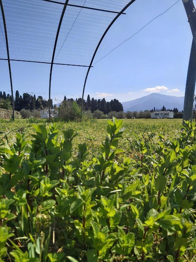 Le Mas Del Cargol Palau-del-Vidre Εξωτερικό φωτογραφία