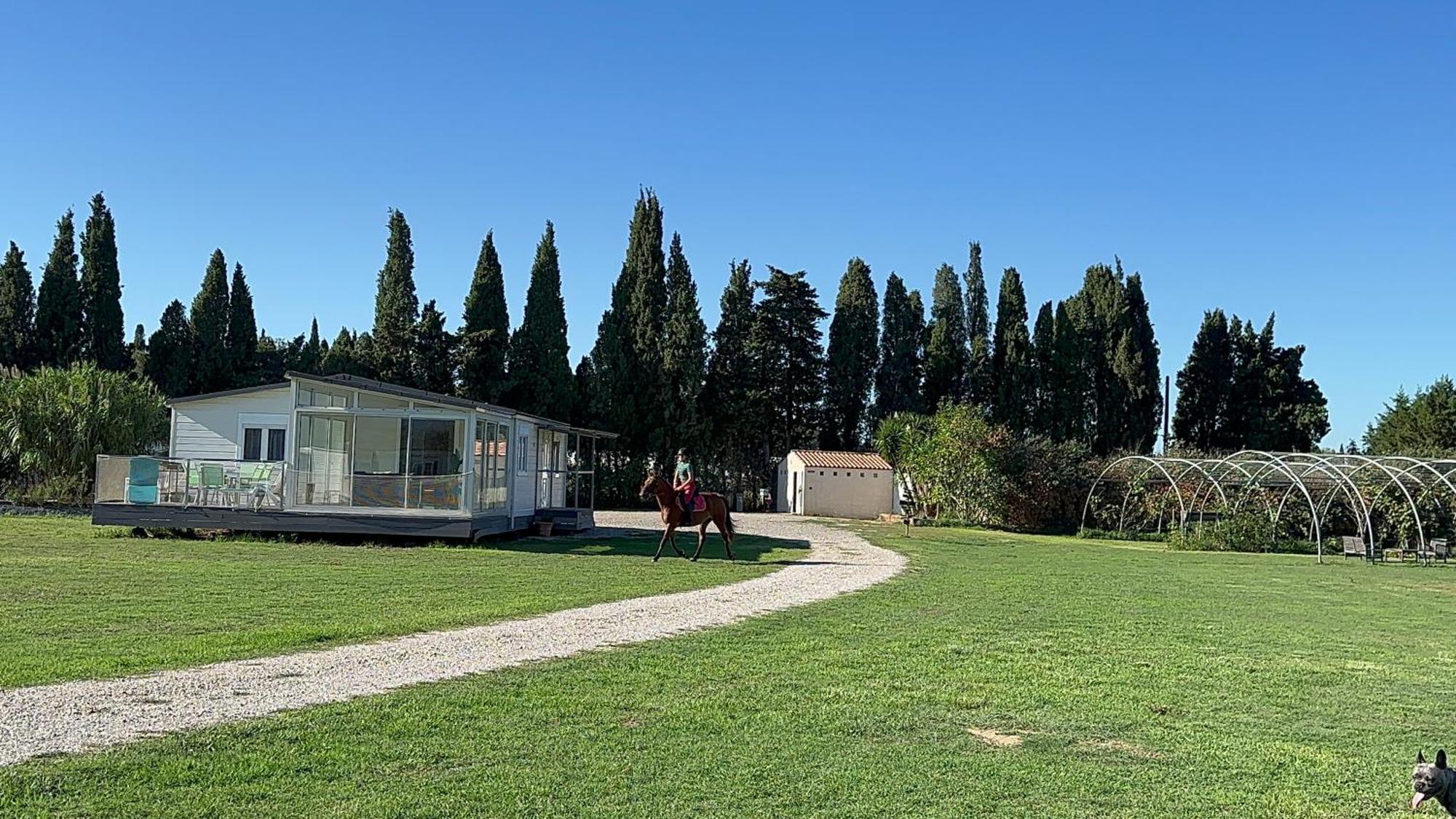 Le Mas Del Cargol Palau-del-Vidre Εξωτερικό φωτογραφία
