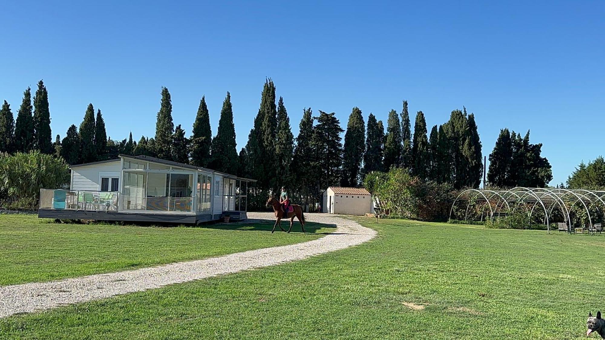 Le Mas Del Cargol Palau-del-Vidre Εξωτερικό φωτογραφία